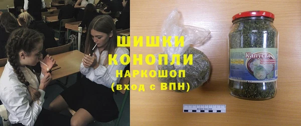 прущие грибы Беломорск