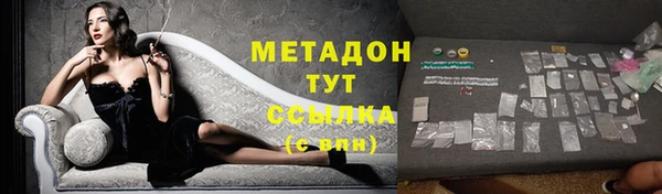 прущие грибы Беломорск