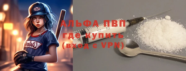 прущие грибы Беломорск