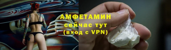 прущие грибы Беломорск