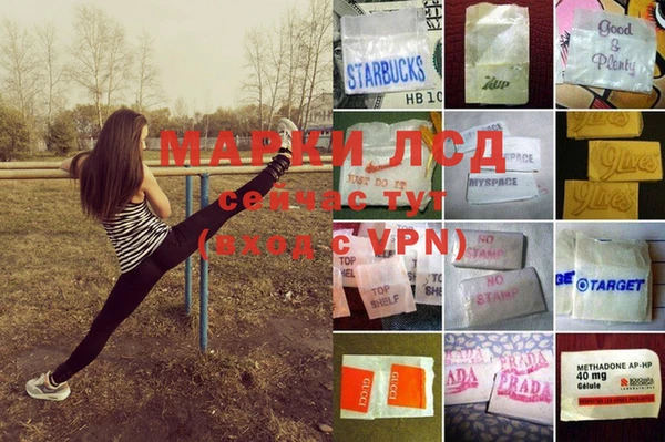 прущие грибы Беломорск
