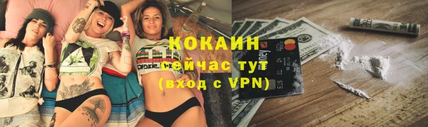 прущие грибы Беломорск