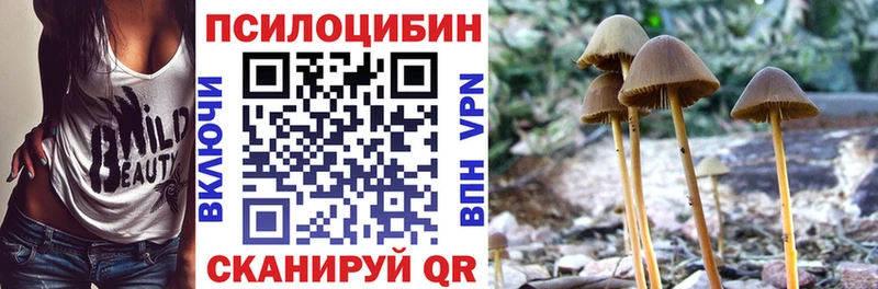 Псилоцибиновые грибы Cubensis  Бирюсинск 
